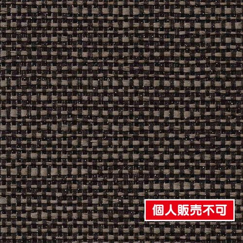 サンゲツ，クロス，エクセレクト，SHITSURAHI，紙布，SGB2255 の商品画像