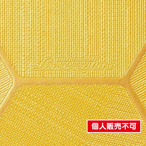 サンゲツ，クロス，エクセレクト，AUTOMOBILI，LAMBORGHINI，SGB2313 の商品画像