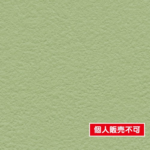 ▲専用▲ のり無し】 FE76089 サンゲツ 壁紙/クロスの激安通販