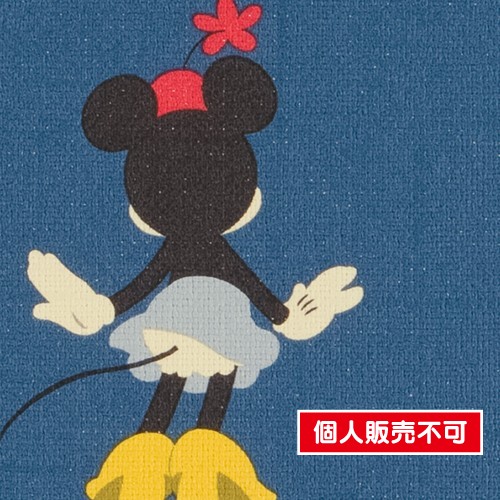 サンゲツ，クロス，ファイン，FE76679，Disney，内装資材，ガラスフィルム，硬質塩ビシート，壁紙
