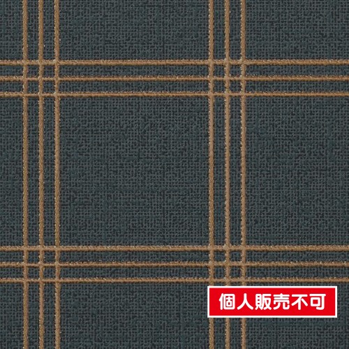 サンゲツ，クロス，ファイン，FE76761，モダン，内装資材，ガラスフィルム，硬質塩ビシート，壁紙