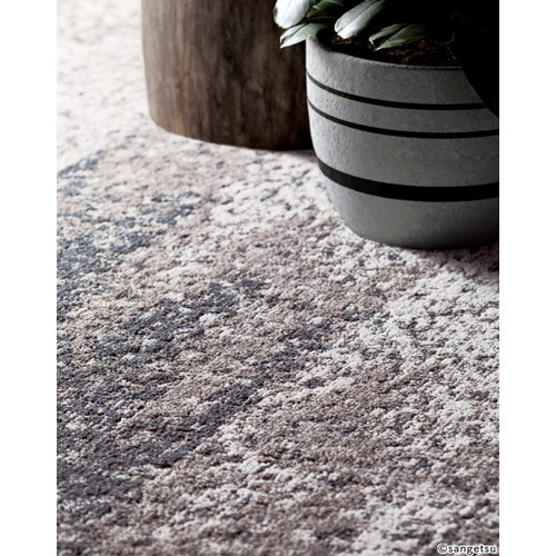 サンゲツ カーペットタイルNT NT-700H PLANK NTH-7210 F-eco フィールドビュープランクF 1枚単位