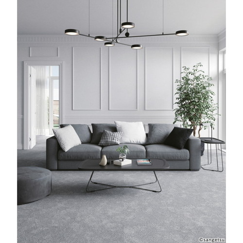サンゲツ カーペットタイルDT COZY コーラルリーフF DT-7810 DT-7800 F-eco 1枚単位