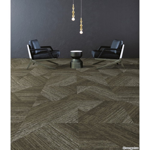 サンゲツ カーペットタイルDT SUSTAINABILITY ジオグラフィック DT-6200 1枚単位