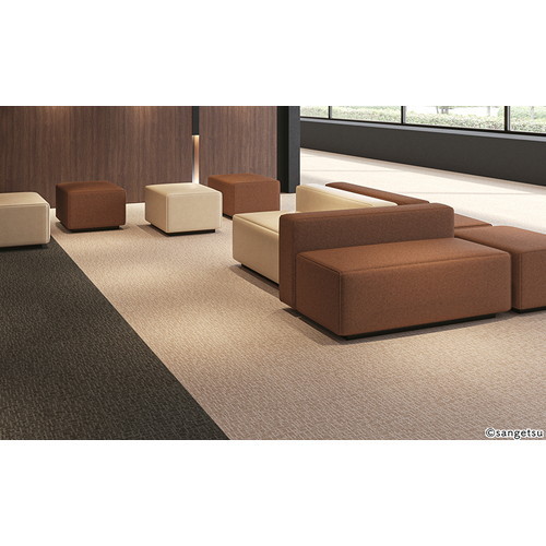 サンゲツ カーペットタイルDT TEXTILE テネロ2 DT-4800 1枚単位