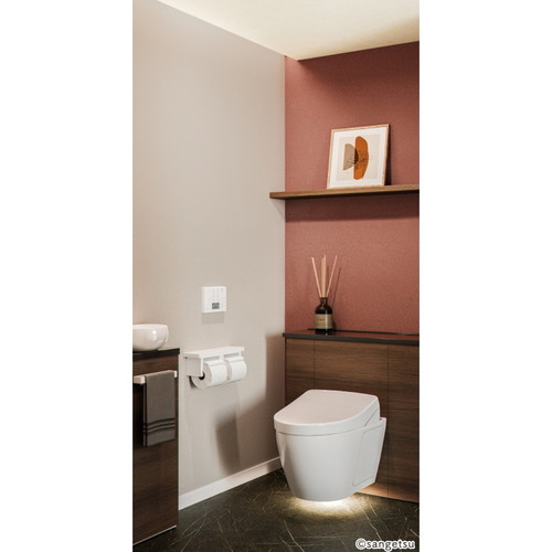 サンゲツ クロス リザーブ ライトフレッシュ壁紙 1m単位切売