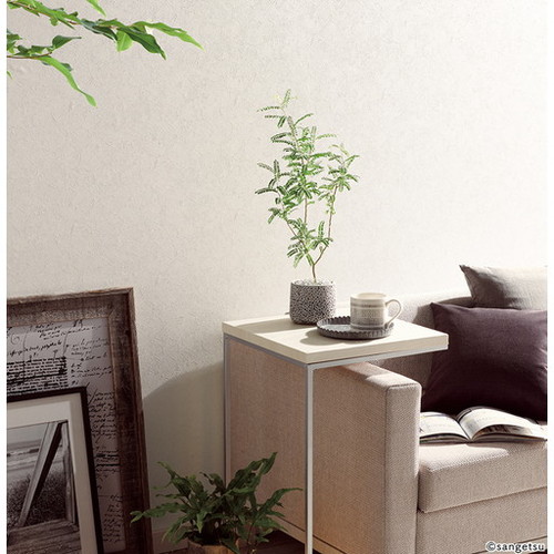 クロス 700X32C型 クロスバイクSETTER8.0 セッター8.0(LG BLACK/外装24段変速