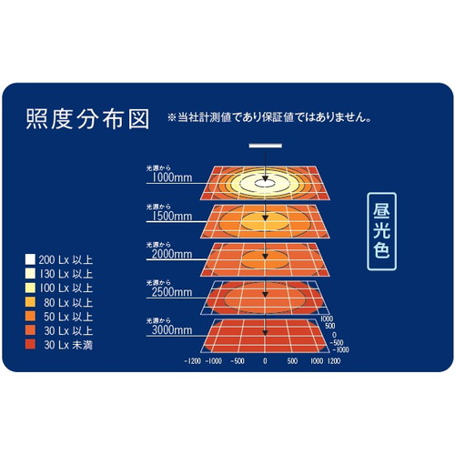 軒下照明 W600 POLLUX3-600T-65-SWA 軒下照明ポラックス3 昼光色 三和サインワークス LED照明