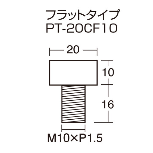 化粧ボルト，PT-20CF10フラットタイプ，49898*** の補助画像