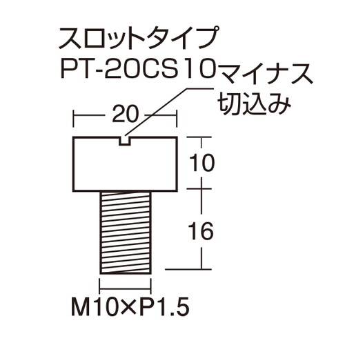 化粧ボルト，PT-20CS10スロットタイプ，49899*** の補助画像