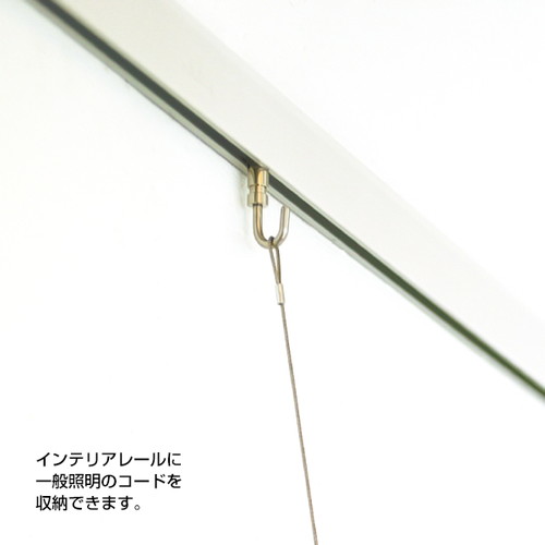 ピクチャーレール，CRJ3000(ホワイト)，43216-1*の補助画像