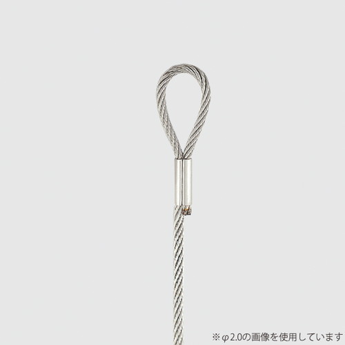 リングワイヤー，φ2.5，1.5M，B-W，58776-4*の商品画像