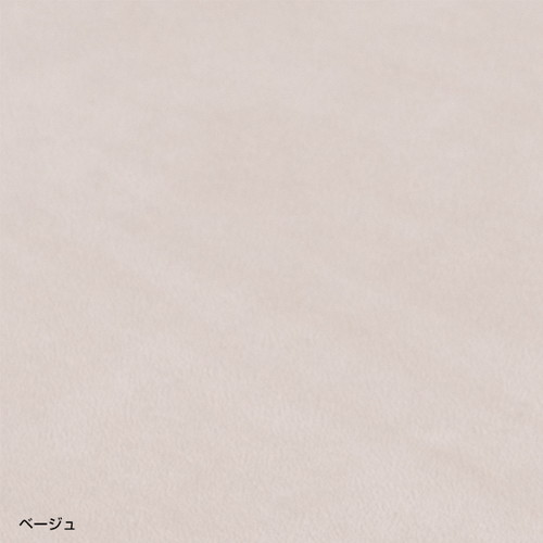 接客トレイ，LL，ベージュ，62113BEGの補助画像