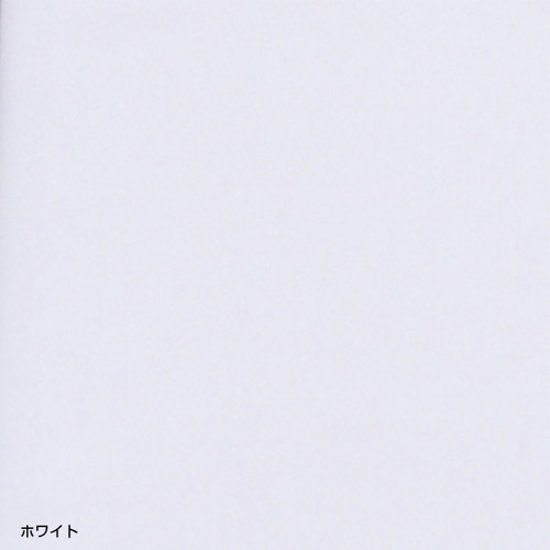 接客トレイ，LL，ホワイト，62113WHTの補助画像
