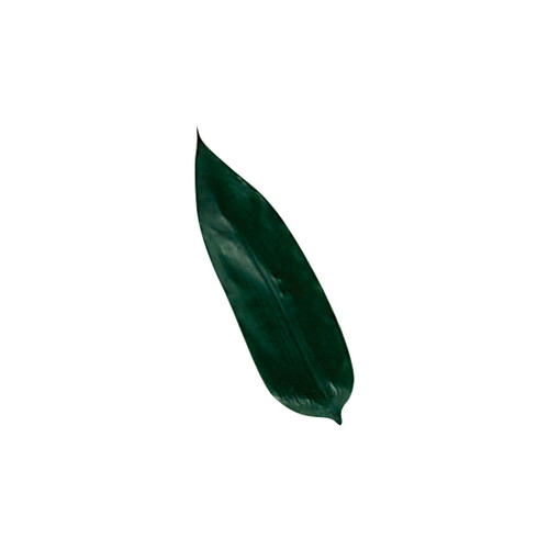 熊笹(50枚入)，58927-1*の商品画像