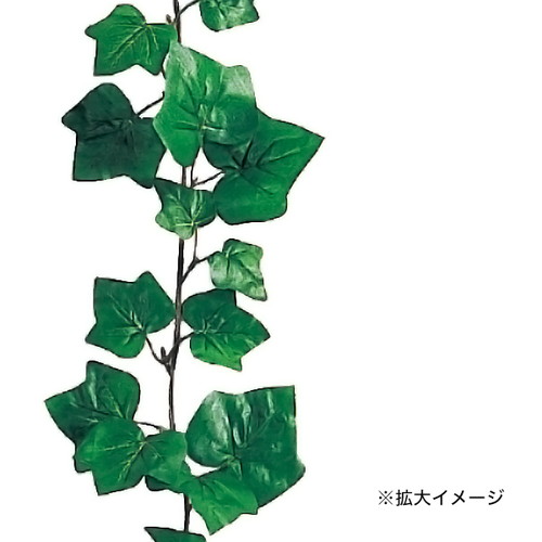 イングリッシュアイビーガーランド，58844***の商品画像