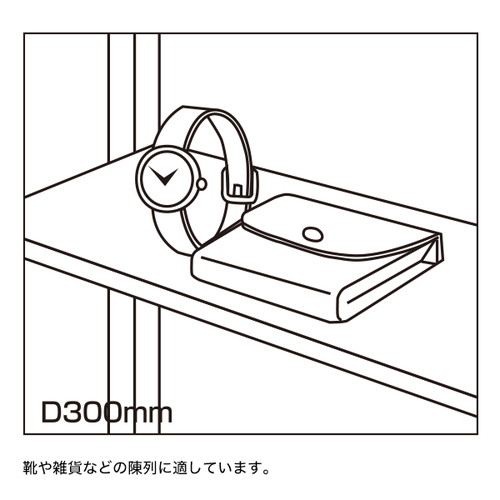 ガラス棚セット，W600(5mm厚)，D300，49985-1*の補助画像