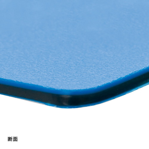 養生くん，PP27，青，54198BLUの補助画像