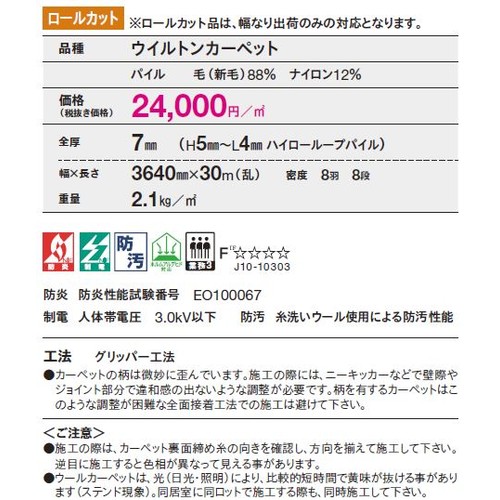 東リロールカーペットエトウィール6500の補助画像