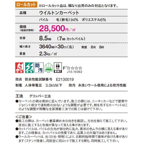 東リロールカーペットエトウィール8800の補助画像