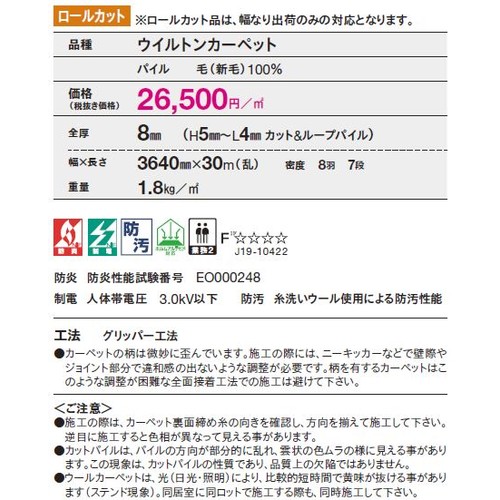 東リロールカーペットエトウィール9300の補助画像