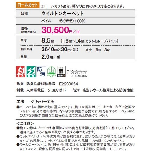 東リロールカーペットエトウィール9700の補助画像