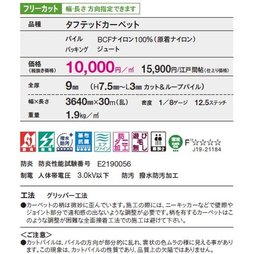 東リロールカーペットディライアン3の補助画像