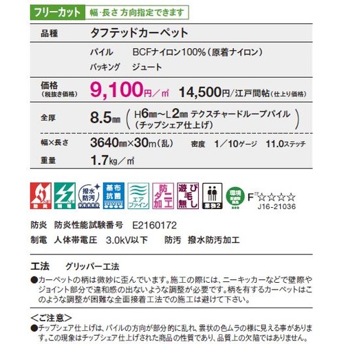 東リロールカーペットドットスクアの補助画像