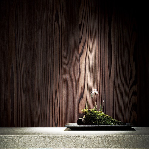立面仕上材 リアルデコ Wood Japanese Wood 1m単位