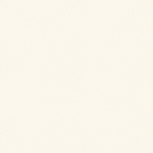 東リクロスVSクロスVS3029の画像