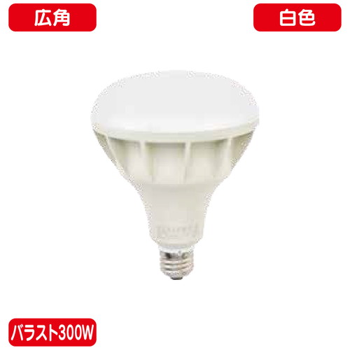 バラスト300W LEDランプ 白色 広角  ニッケンハードウェア ビューランプ VLE39WD-C 白の商品画像