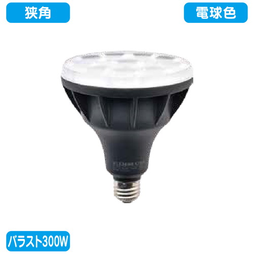 バラスト300W LEDランプ 電球色 狭角  ニッケンハードウェア ビューランプ VLE39NR-W/BK 黒の商品画像