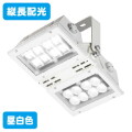 ECF17101/SAN8 || LED投光器 岩崎電気 レディオックフラッド