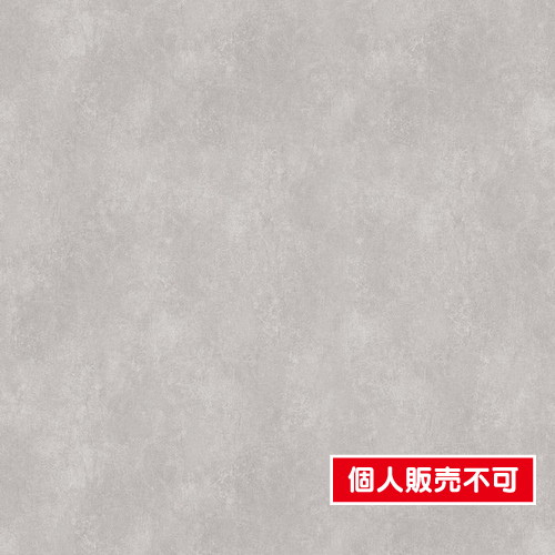 サンゲツ，リアテック，Vol'11，高耐候リアテック，MATERIAL，コンクリート，TCE-4541 の商品画像