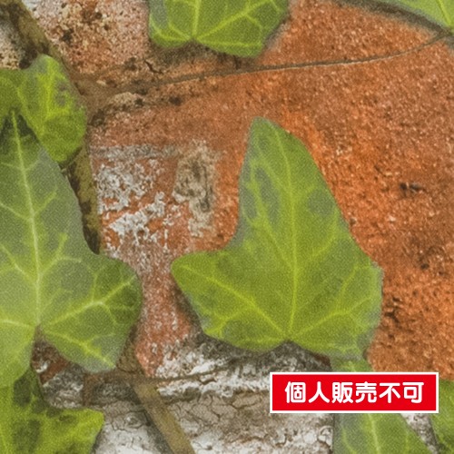 サンゲツ，クロス，ファイン，FE76811，ナチュラル・ボタニカル，内装資材，ガラスフィルム，硬質塩ビシート，壁紙