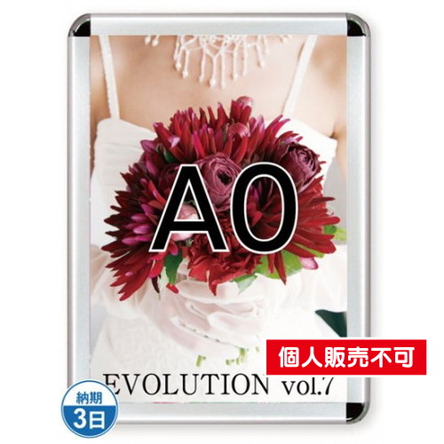 ポスターグリップ44R(屋内用)，A0シルバー，TSK-PG-44R-A0C(N) の商品画像