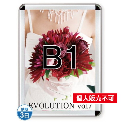 ポスターグリップ44R(屋内用)，B1シルバー，TSK-PG-44R-B1C(N) の商品画像