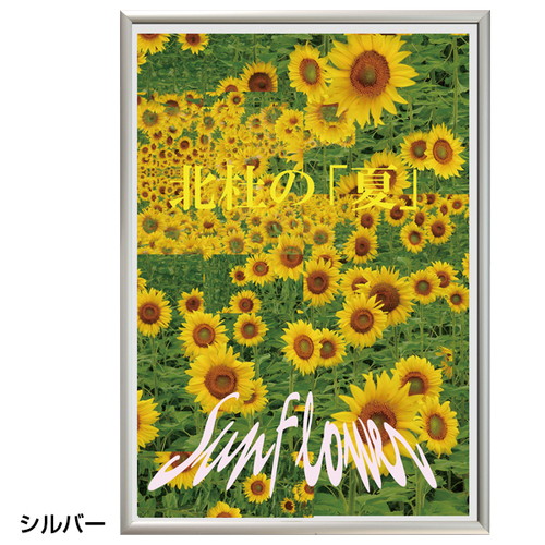 スリムエイト，B3，ホワイト，30205*** の商品画像
