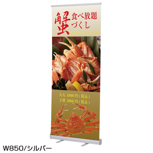 ローコストロールスクリーン，RS27N，850，シルバー，60015-1Sの商品画像