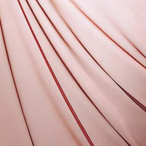 オーガンジ，PAFA7606，ブラウン，55915BRNの商品画像