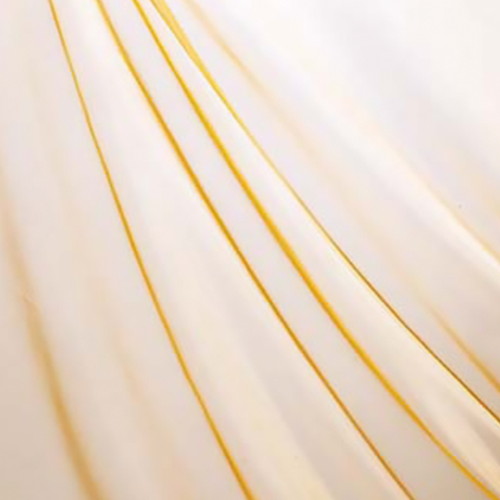 オーガンジ，PAFA7606，オレンジ，55915ORGの商品画像