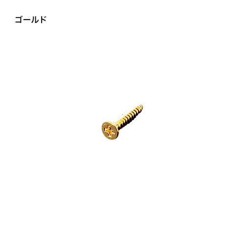 タッピングネジφ3×16，クローム(50本入)，55116CRMの商品画像