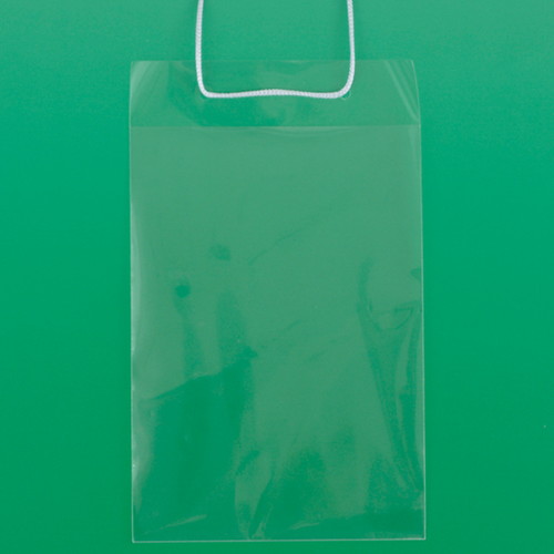 簡易イベント名札，ハガキサイズ，10枚入，60313-03の商品画像