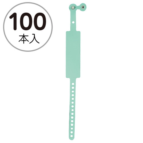 新パスバンド(100本入)グリーン，30746GRNの商品画像