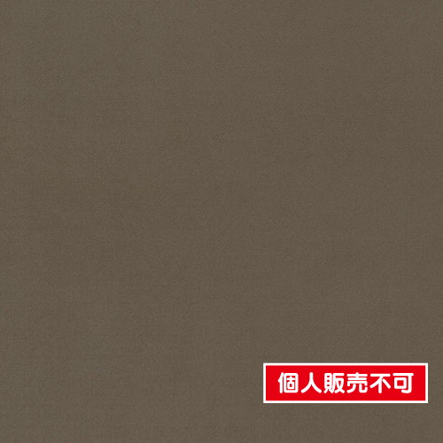 東リ，クロス，POWER1000，フィルム抗菌汚れ防止・ハードタイプ「エバール」WVP4407 の商品画像