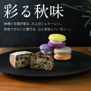 【冷凍】1665 STOLLEN &  MACARON｜｜シュトーレンとマカロン詰合せ 秋仕立て｜｜【 OSM】