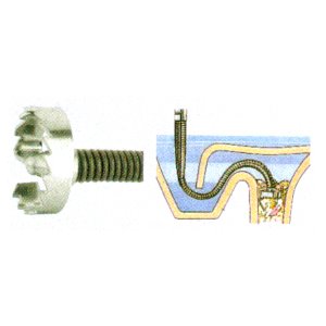 アサダ