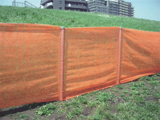アラオ