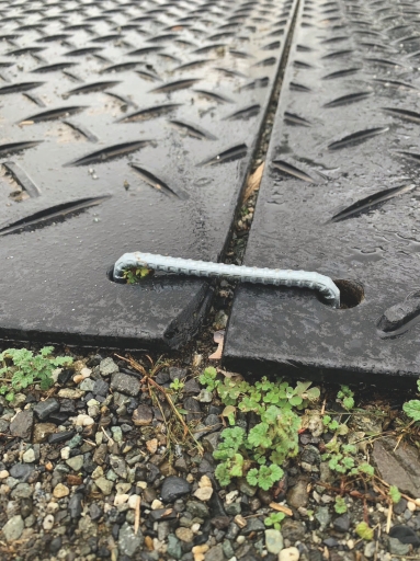 アラオ
