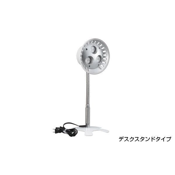 ハタヤリミテッド